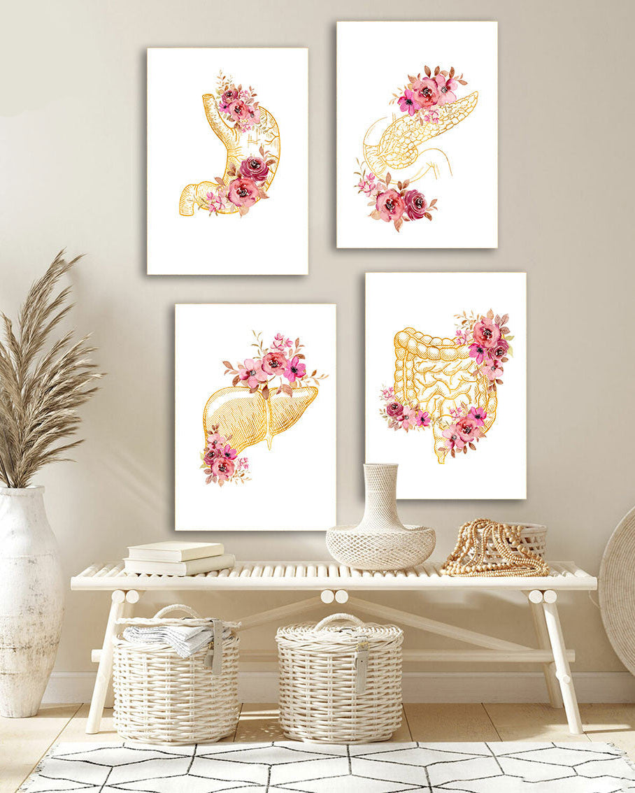 Tableau 4 Pièces Organe Humain – Fleurs Aquarelle, Style Moderne